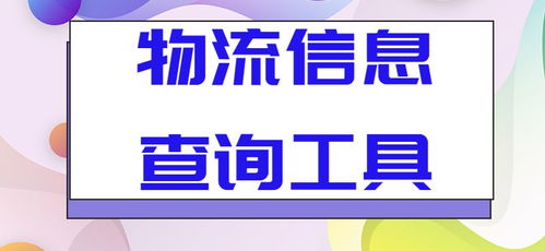 高效导出批量物流信息至表格 一站式信息咨询服务指南