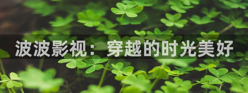 金牌影视大全：波波影视：穿越的时光美好