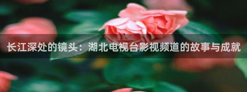 金牌班长电影：长江深处的镜头：湖北电视台影视频道的故事与成就