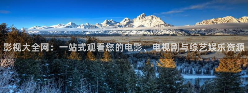 12金牌电影完整版：影视大全网：一站式观看您的电影、电视剧与综艺娱乐资源