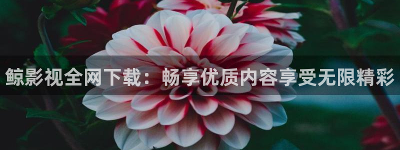 金牌电影在线播放免费视频：鲸影视全网下载：畅享优质内容享受无限精彩