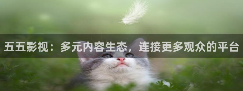 金牌电视：五五影视：多元内容生态，连接更多观众的平台