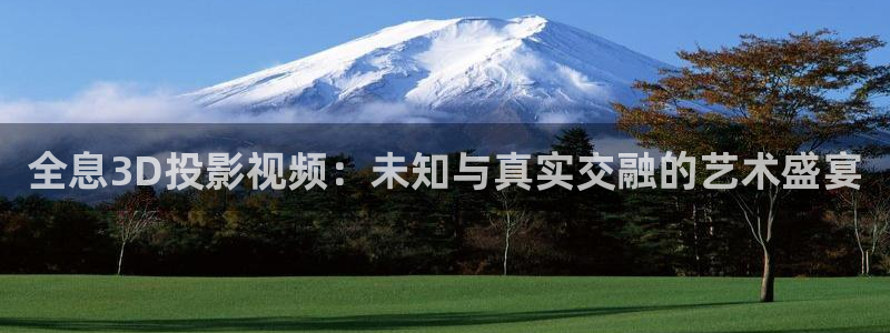沉香如屑金牌影视：全息3D投影视频：未知与真实交融的艺术盛宴