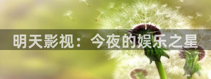 金牌电视剧：明天影视：今夜的娱乐之星