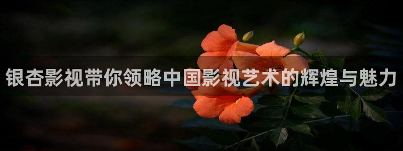 金牌影视免费官网：银杏影视带你领略中国影视艺术的辉煌与魅力