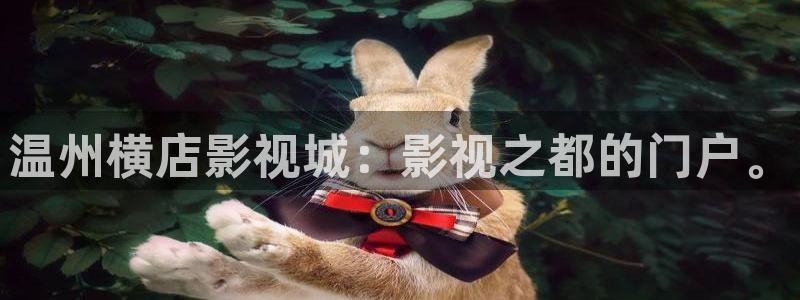 金牌特勤队电影：温州横店影视城：影视之都的门户。